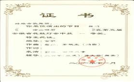  2006.11第七届花鼓灯会一等奖