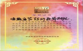 2011荣获舞蹈世界舞蹈全民星之非物质文化遗产特别荣誉奖