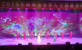 2018年蚌埠市各界人士迎新春团拜会