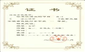 2001.11《涂山泪石》荣获第五届花鼓灯会一等奖